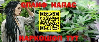 мдпв Гагарин