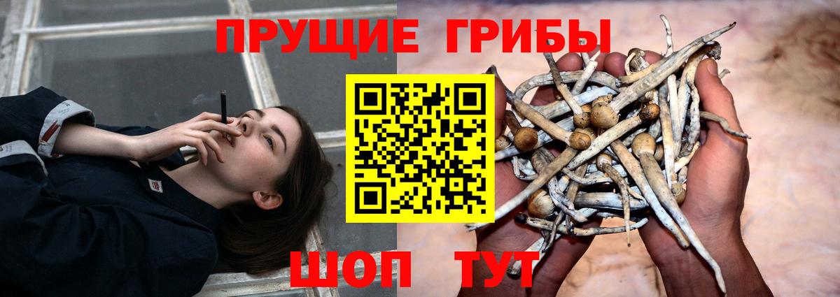 Набережные Челны  Галлюциногенные грибы мухоморы  Псилоцибиновые грибы MAGIC MUSHROOMS  Вход с VPN 